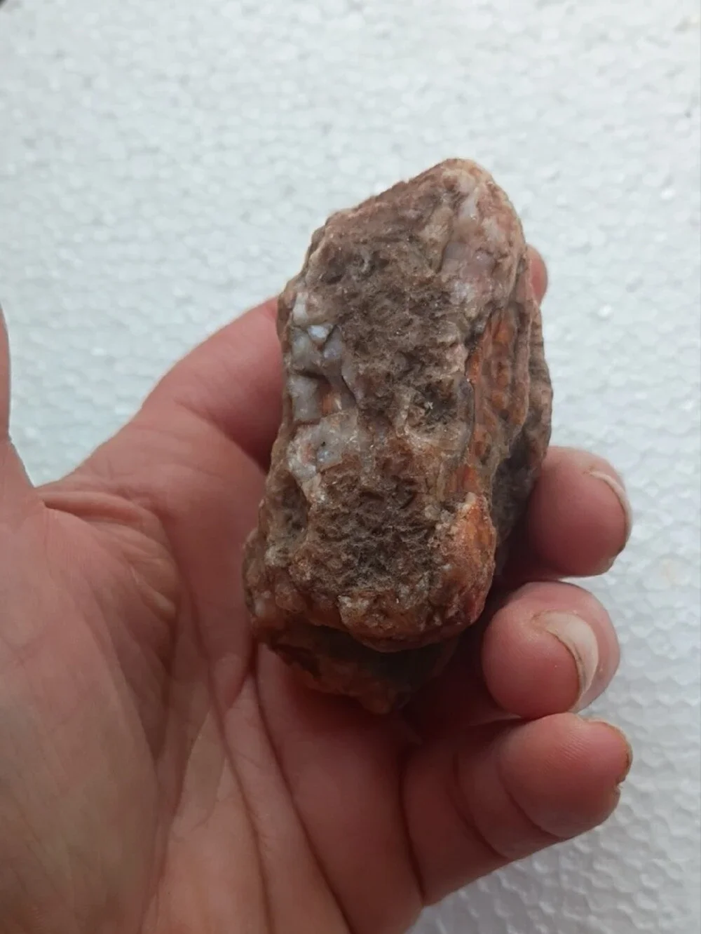 Natural Orange-Brown Reptile Hideaway Rock - Unbranded